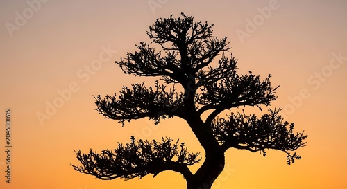 Silhouette of an elegant bonsai tree isolated against a vibrant golden sunset sky, perfect for meditation, zen garden aesthetics, and peaceful nature themes