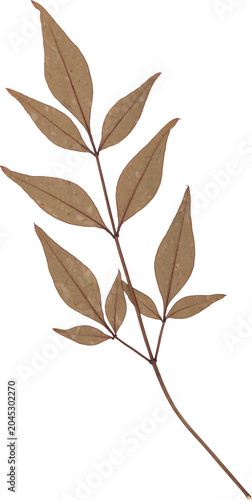 Brown Vintage Dry Twig With Leaves