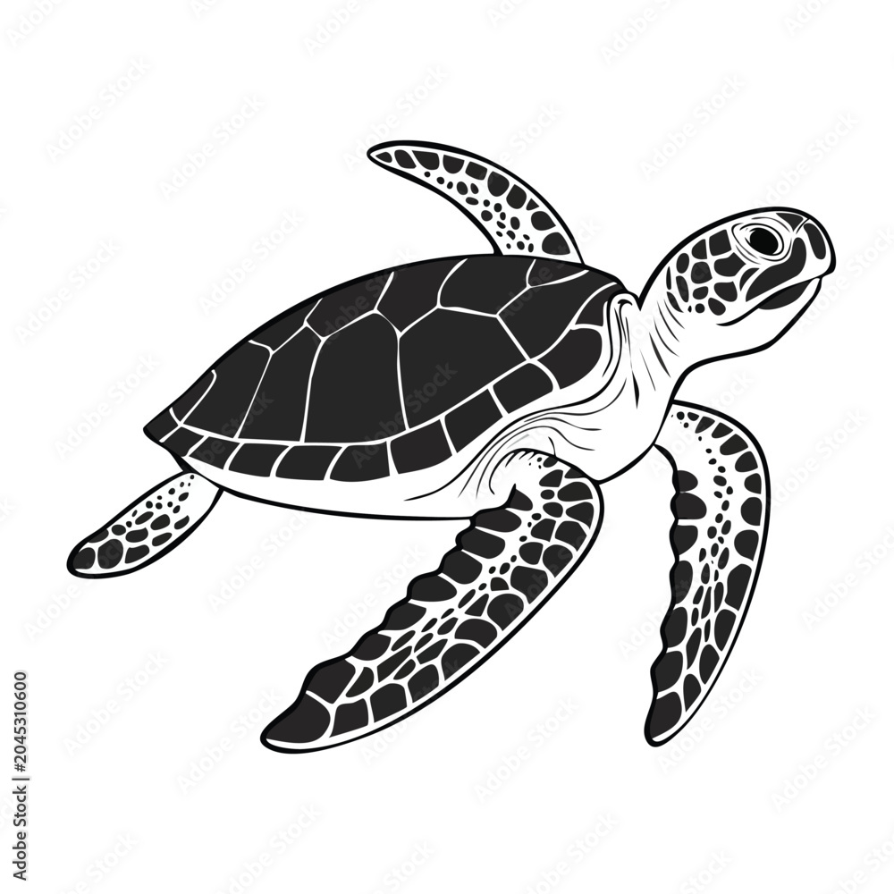 Obraz premium Graphic illustration of a sea turtle swimming isolated on white background with sea life, wildlife