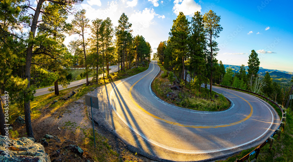 Obraz premium Peter Norbeck Scenic Byway Road Curve