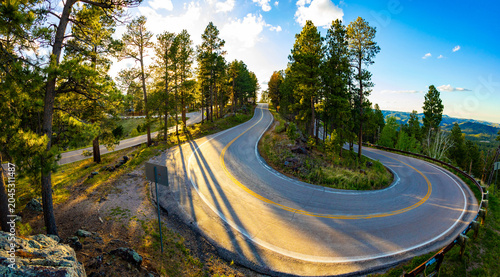 Peter Norbeck Scenic Byway Road Curve