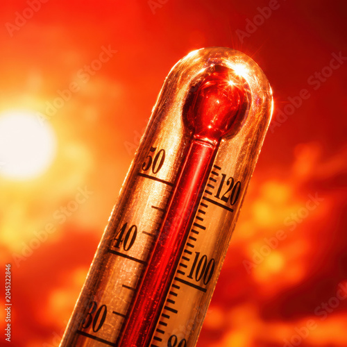 Rising heat causes stress on environment and living beings, highlighting urgency of climate awareness