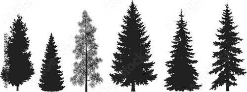 Schilderij op canvas Collection of Black Silhouettes of Various Pine Trees coniferous background