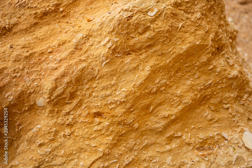 Konstfotografi A close-up view of a textured earthy surface with embedded shell fragments, show