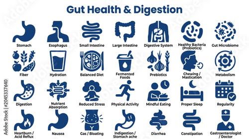 Bild auf Leinwand Gut Health and Digestion Explained with Icons: A Comprehensive Visual Guide to D