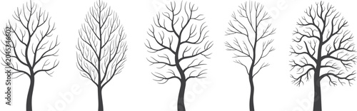 Bild auf Leinwand Collection of Five Stylized Bare Tree Silhouettes in Winter Keywords: trees, bar