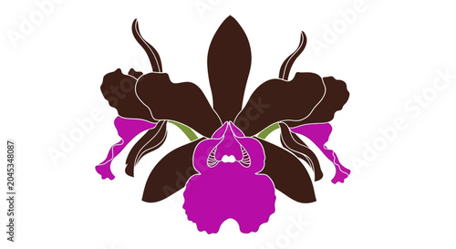 Foto Large Purple and Brown Orchid Flower.