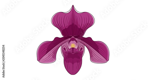 Obraz na płótnie Closeup of purple orchid flower.