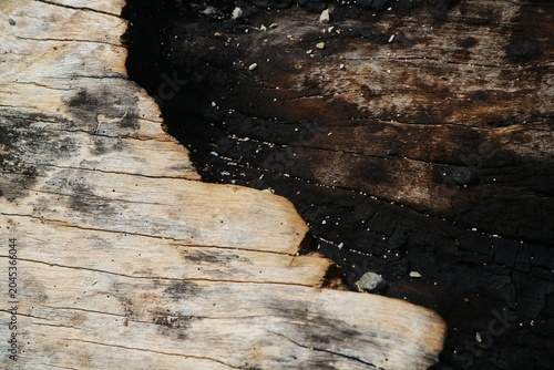 Quadro su tela The surface of a large piece of wood, half of which appeared to be charred to charcoal because part of it had been burned