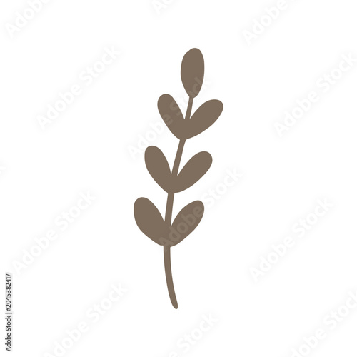 floral graphic design vector illustration