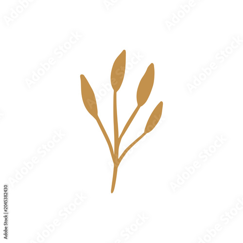 floral graphic design vector illustration