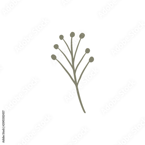 floral graphic design vector illustration