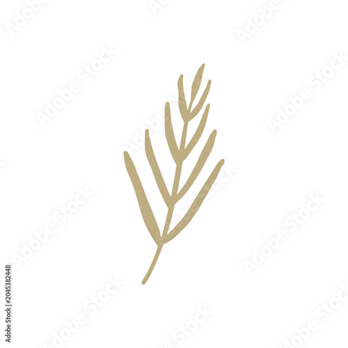floral graphic design vector illustration