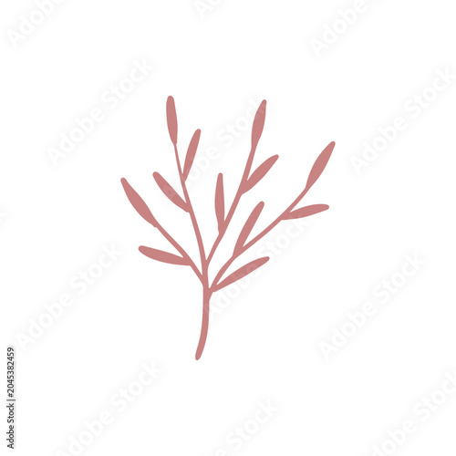 floral graphic design vector illustration