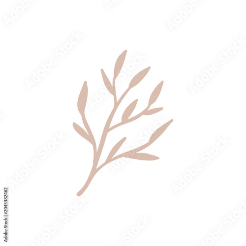 floral graphic design vector illustration