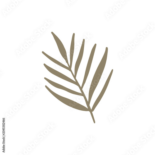 floral graphic design vector illustration