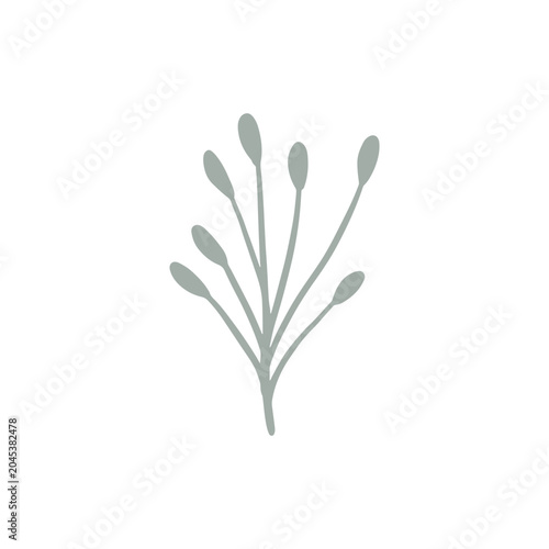 floral graphic design vector illustration