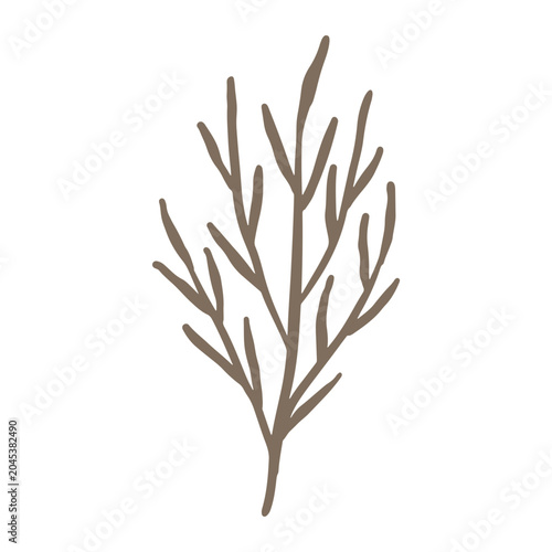 floral graphic design vector illustration
