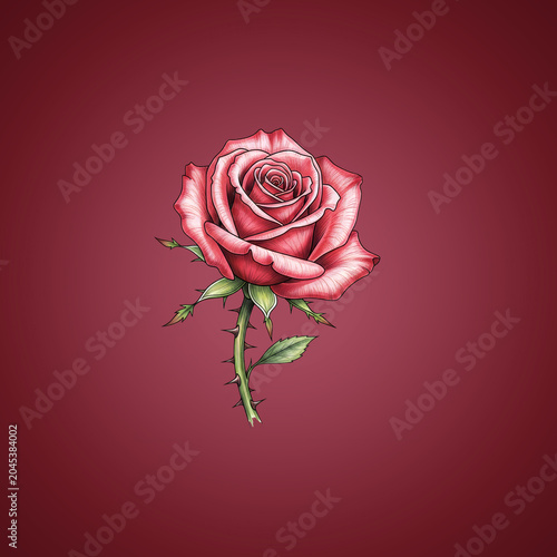 Close-up of pink rose on red background