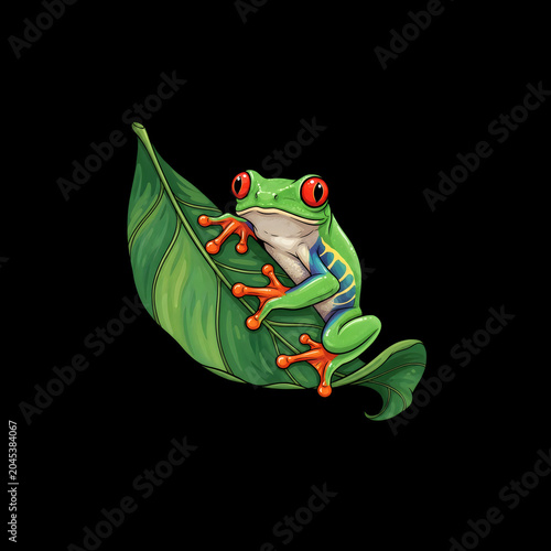 Frog sitting on green leaf, red eyes