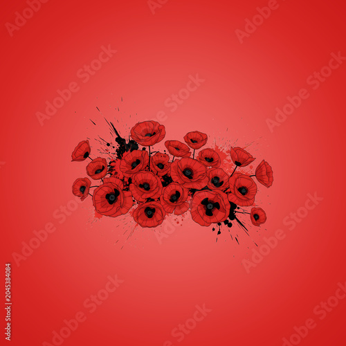 Vibrant Red Poppies on Gradient Background
