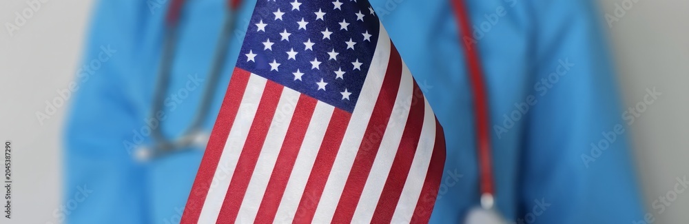 Obraz premium Medical professional holding a small American flag