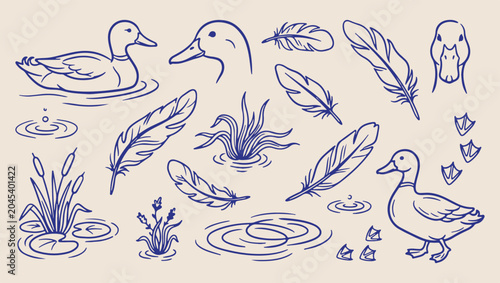 Valokuva Waterfowl duck pond pattern, aquatic bird sketch, minimal nature illustration, c