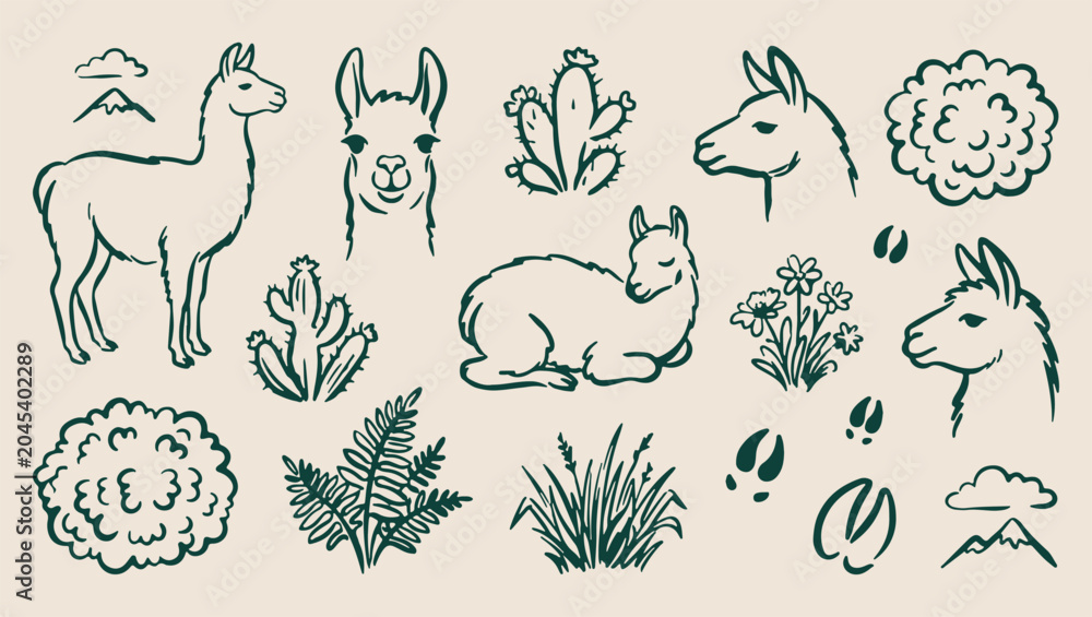 Fototapeta premium Llama alpaca pattern, mountain animal sketch, minimal nature art, clean wildlife illustration, modern mountain design, isolated llama vector, premium alpine background, organic design print llama, alp