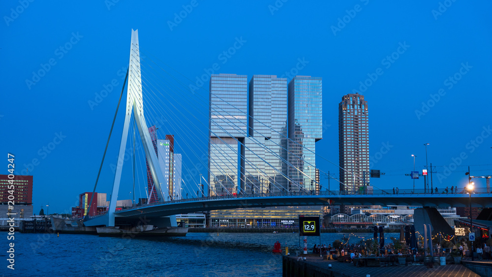 Obraz premium Erasmus Bridge Night View in Rotterdam