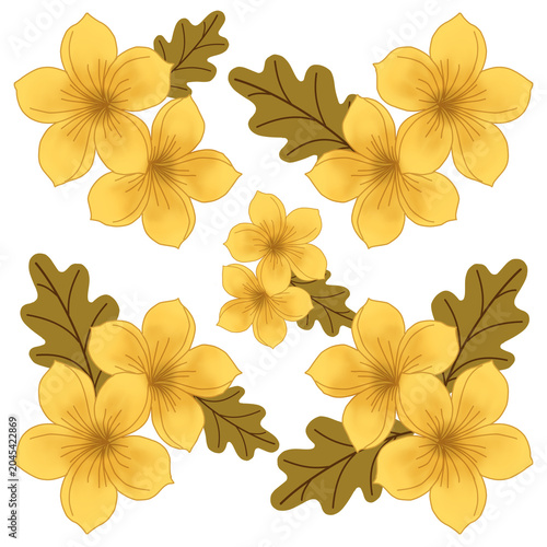 Schilderij op canvas Elegant yellow plumeria frangipani flowers composition with brown leaves isolate