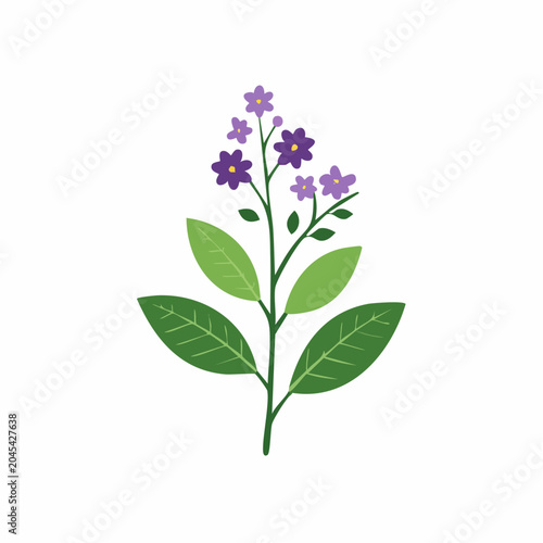 Stylized illustration of a flowering plant with purple blossoms and green leaves