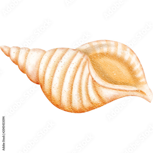 Tableau sur toile Watercolor Yellow Hermit Crab Shell, Spiral Cone Sea Whelk Ocean Clipart