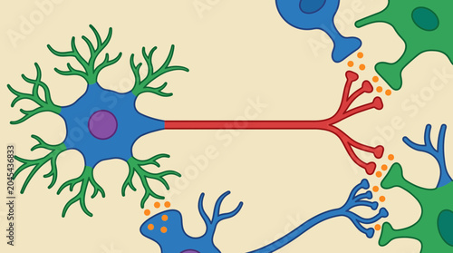 Photos Neuron Structure with Synaptic Connections