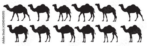 Quadro em tela camel silhouette white background