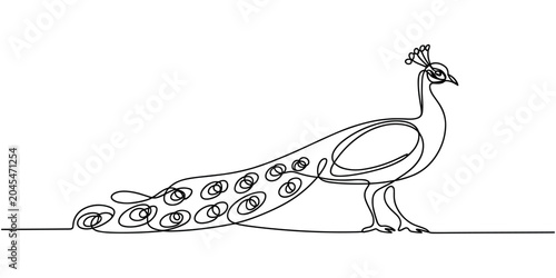 Black line of peacock standing on ground continuous  one line drawing bird animal