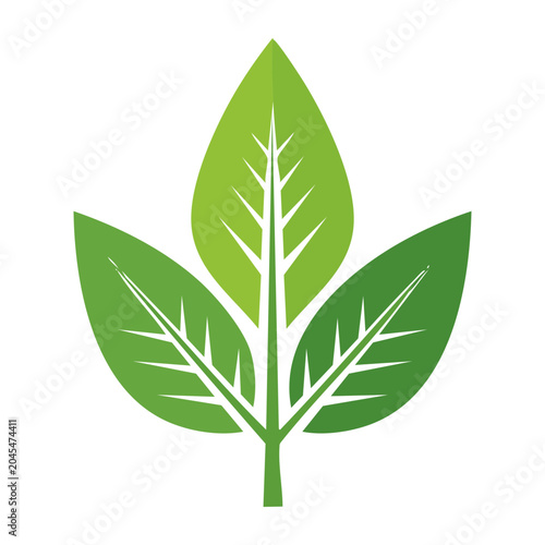 Green Leaf Icon