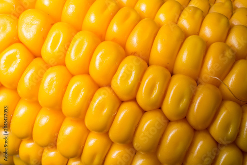 Close-up of vibrant yellow corn kernels on the cob.