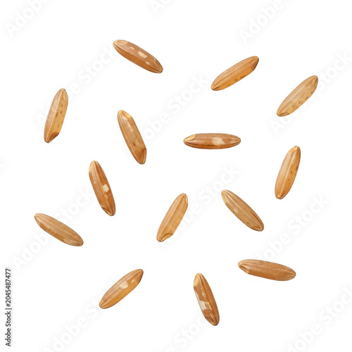 golden rice grains falling scattered isolated on transparent background