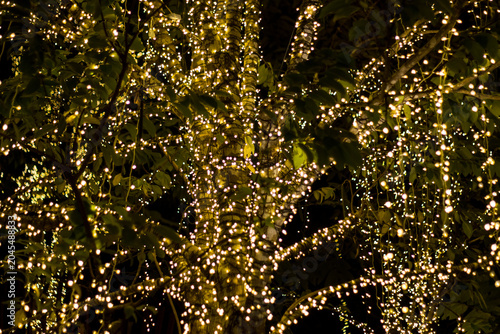 lots of warm fairy lights on a big tree at night. magical outdoor lighting decoration for festivals and public events