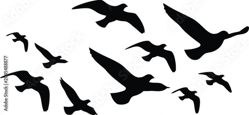 Photos Black Birds Flying in Flock on White Background