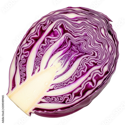 cross-section of red cabbage leaf with natural veins isolated on transparent background