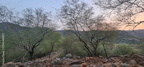 Tree Branches Overlooking a Mountain Valley Under a Soft Orange Sunset Sky