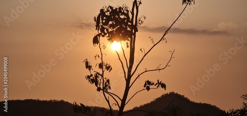 Scenic Mountain Landscape During Sunset with Sun Shining Behind Tree Branches Creating Silhouette Effect