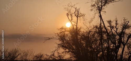 Scenic Mountain Landscape During Sunset with Sun Shining Behind Tree Branches Creating Silhouette Effect