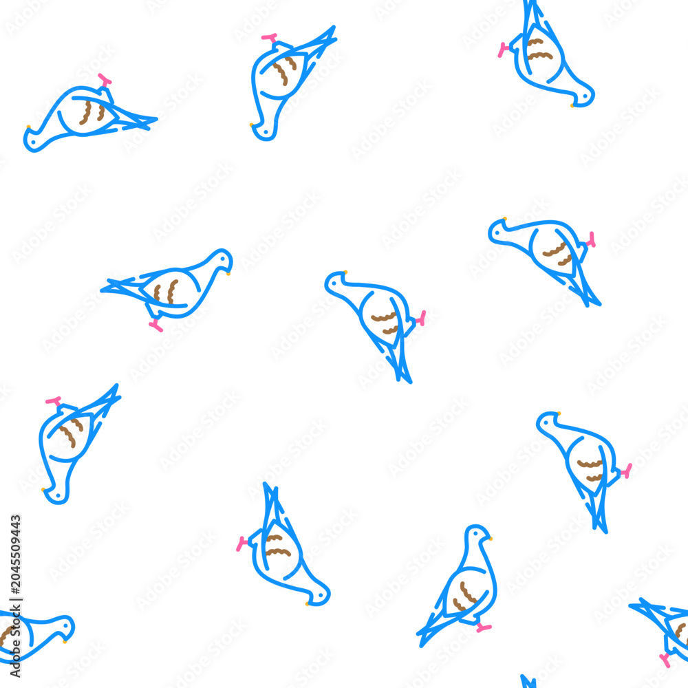 Fototapeta premium pigeon bird vector seamless pattern pigeon bird sign illustration