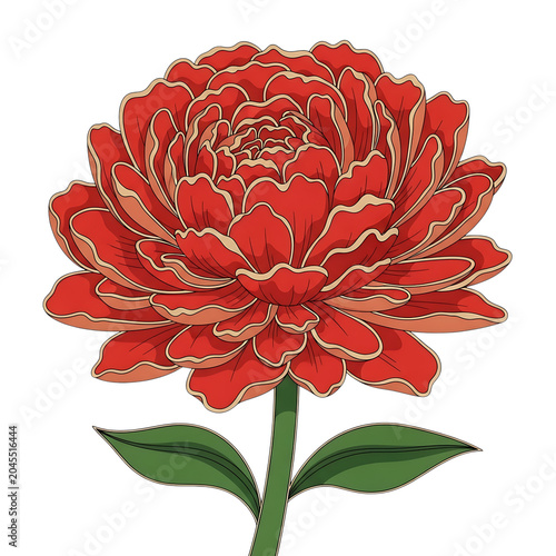 Vibrant red peony flower with green stem and leaves, transparent background