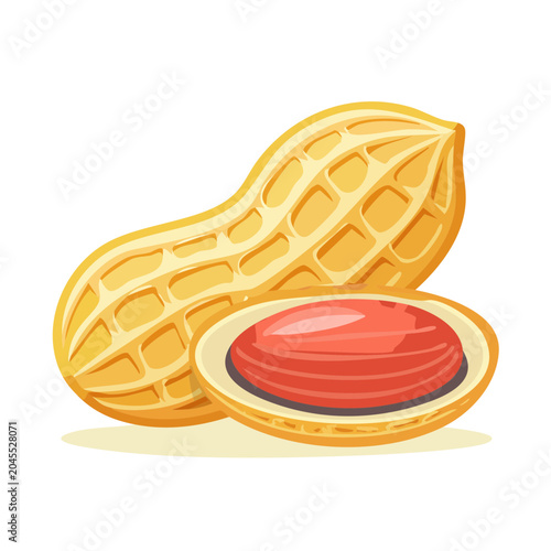 Illustration of a peanut, whole and split open