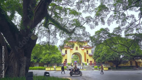 Historic temple entrance under giant trees with pedestrians in a quiet courtyard