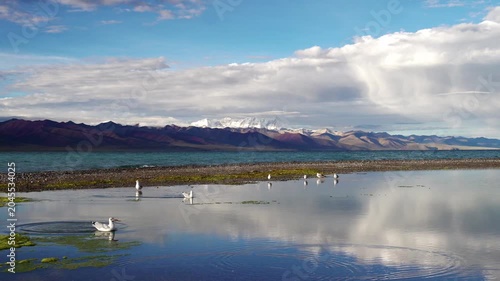 Seagulls on Calm Mountain Lake with Snow Peaks and Dramatic Clouds