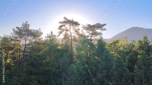 Sunlight Over Forested Mountain Landscape
